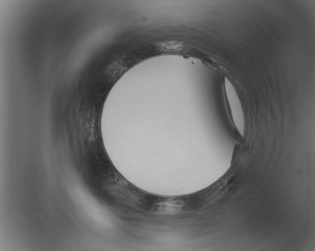 X0000080810525200701122244