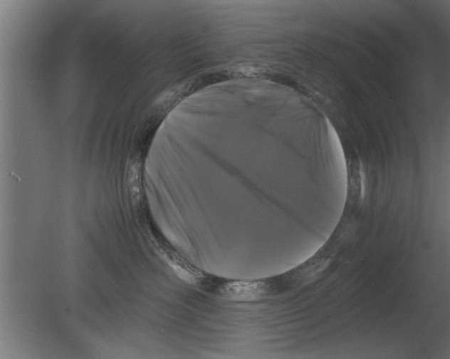 X0000080810526200701122244