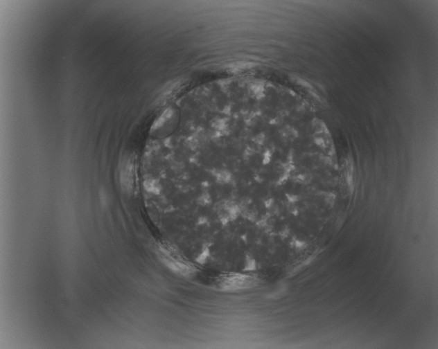 X0000080810527200701122244