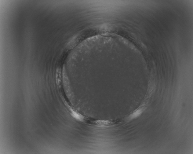 X0000080810528200701122244