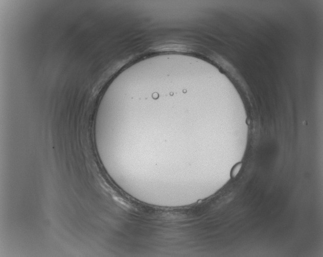 X0000080810529200701122243