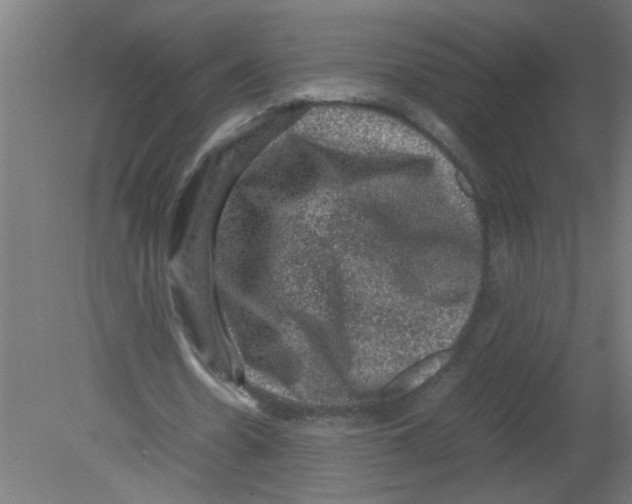 X0000080810530200701122243