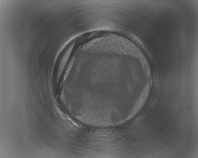 X0000080810532200701122243