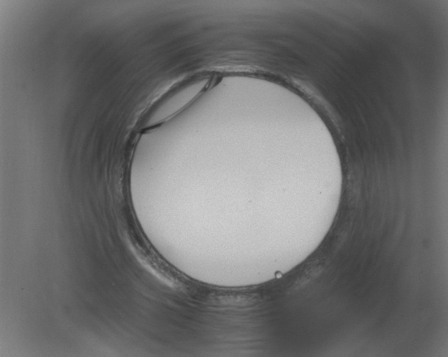 X0000080810533200701122243