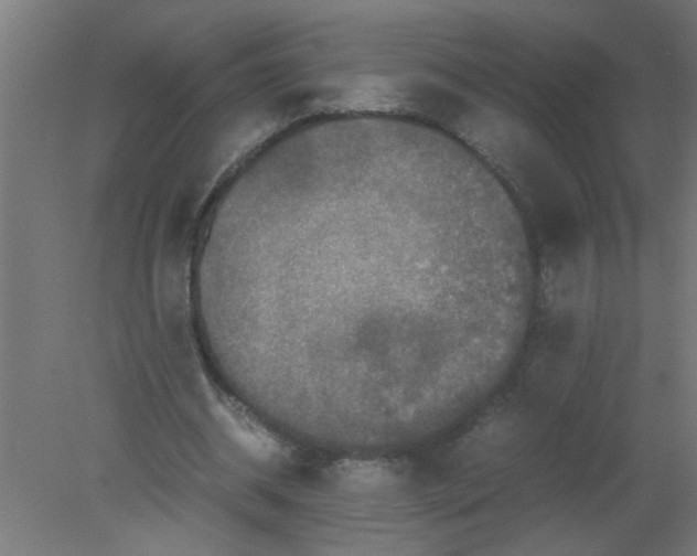 X0000080810534200701122243