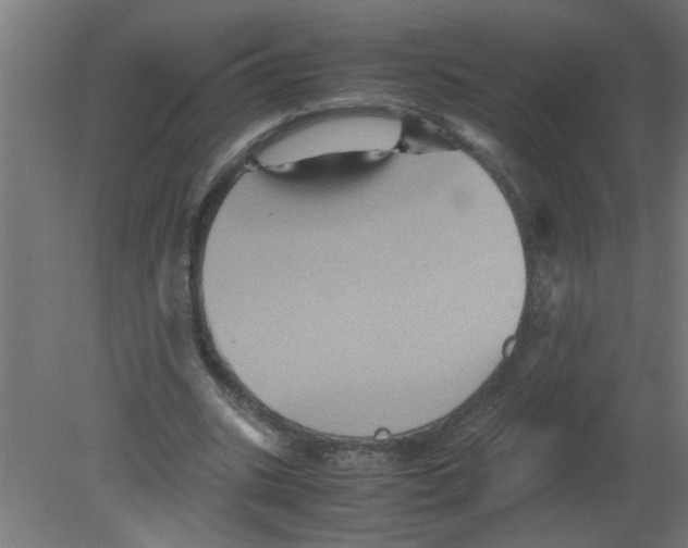 X0000080810535200701122243