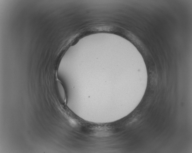 X0000080810537200701122243