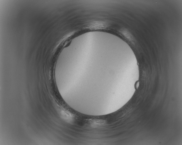 X0000080810539200701122243