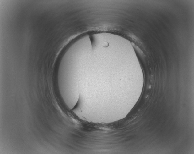 X0000080810540200701122243