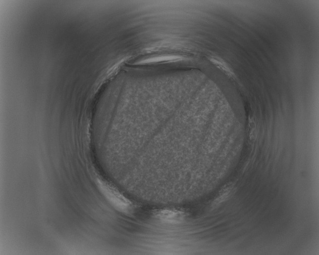 X0000080810542200701122243