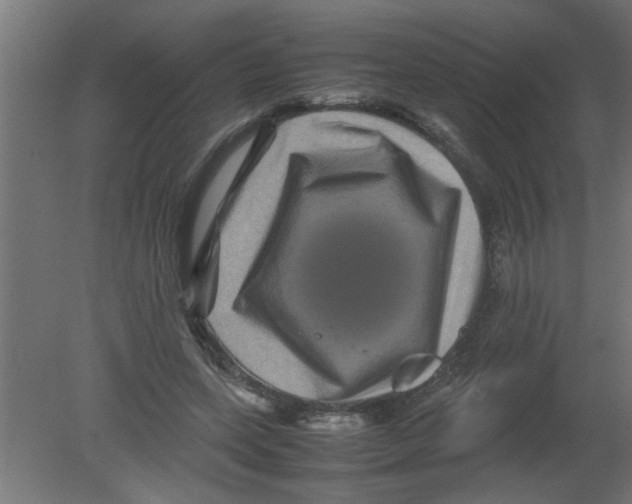 X0000080810543200701122243