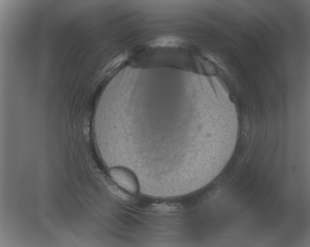 X0000080810545200701122243