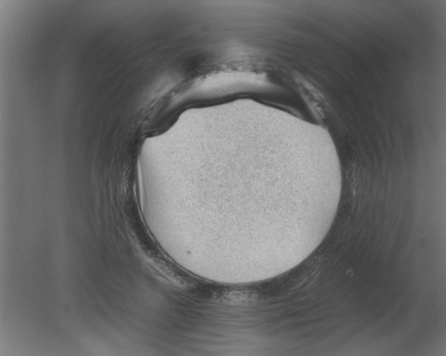 X0000080810546200701122243