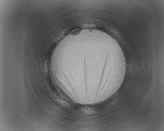 X0000080810549200701122243