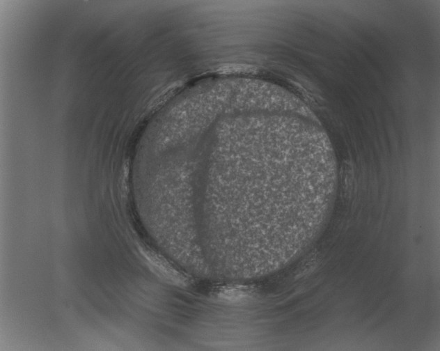 X0000080810550200701122243