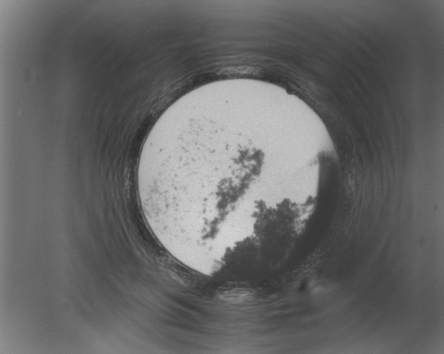 X0000080810551200701122243