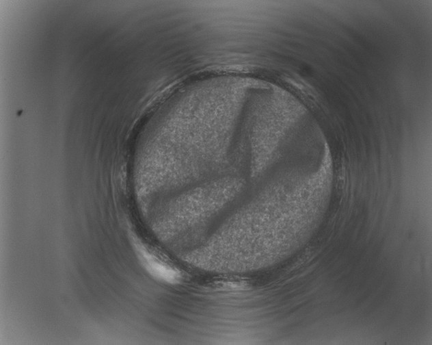 X0000080810552200701122243