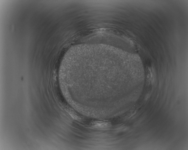 X0000080810555200701122243