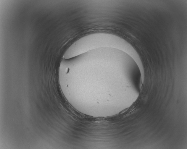 X0000080810556200701122244