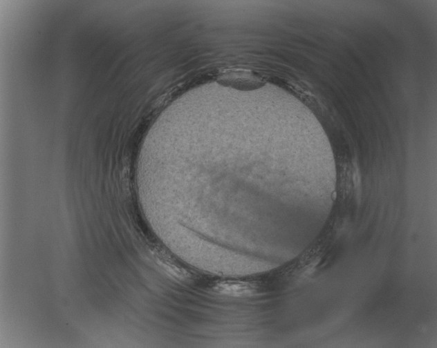 X0000080810557200701122244