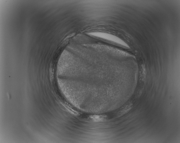 X0000080810558200701122244