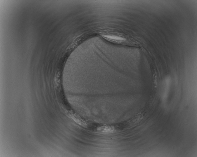 X0000080810559200701122244