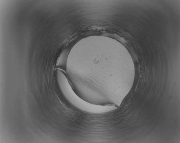 X0000080810560200701122244