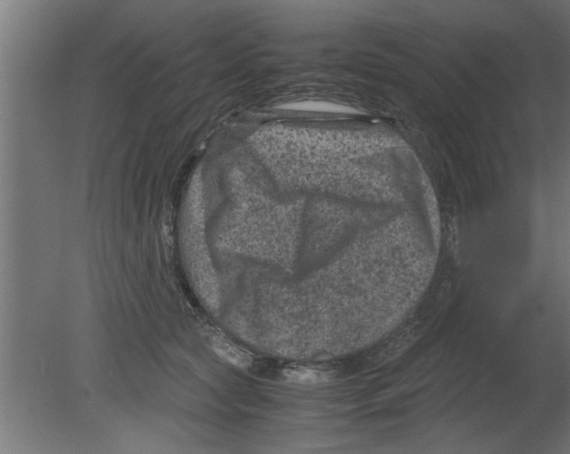 X0000080810561200701122244