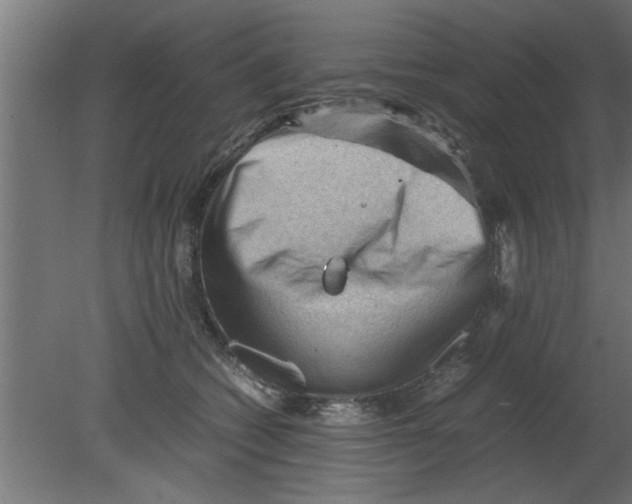 X0000080810562200701122244