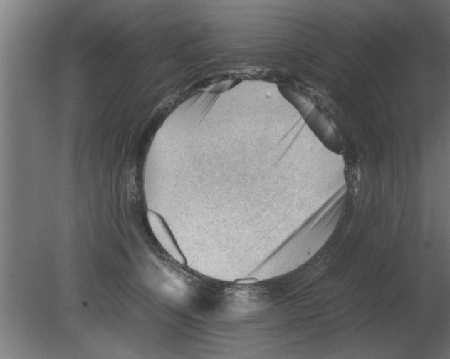 X0000080810564200701122244