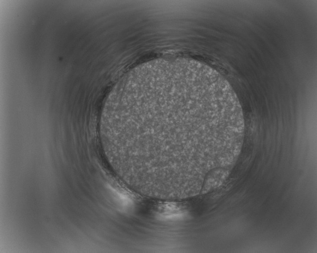 X0000080810565200701122244