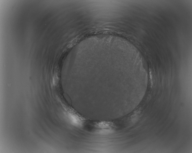 X0000080810566200701122244