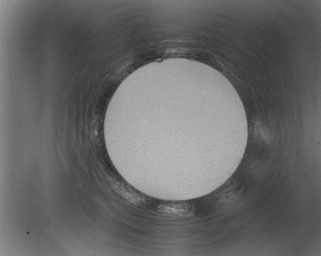 X0000080810567200701122244