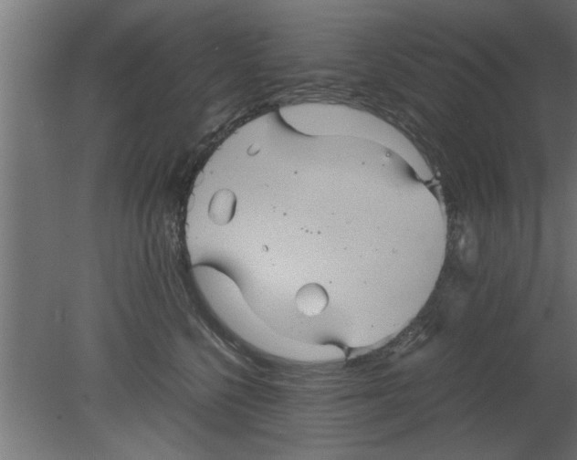 X0000080810568200701122244