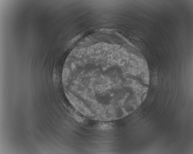 X0000080810569200701122244