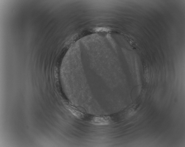 X0000080810571200701122244