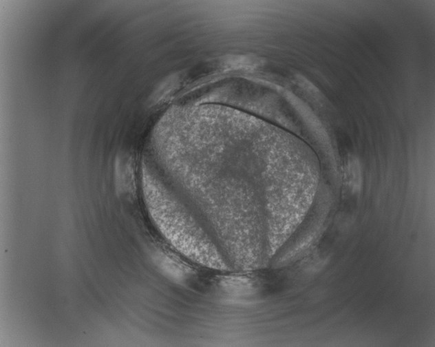 X0000080810572200701122244