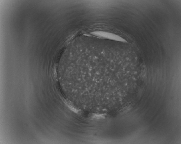 X0000080810573200701122244