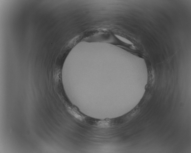 X0000080810574200701122244