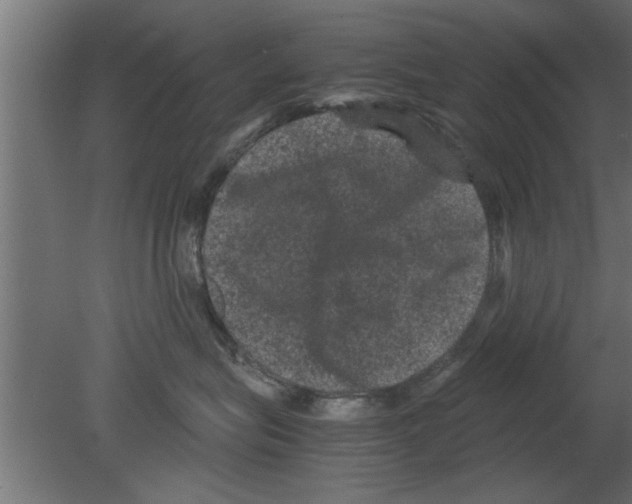 X0000080810575200701122244