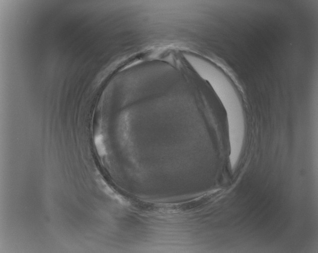 X0000080810577200701122243