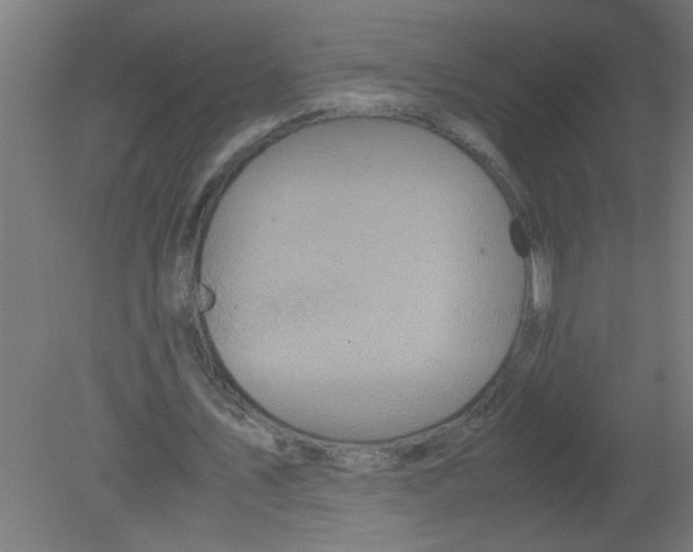 X0000080810579200701122243