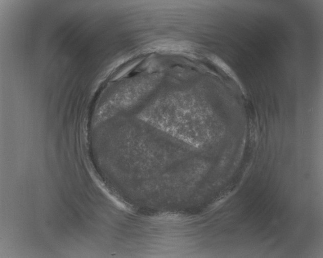 X0000080810581200701122243