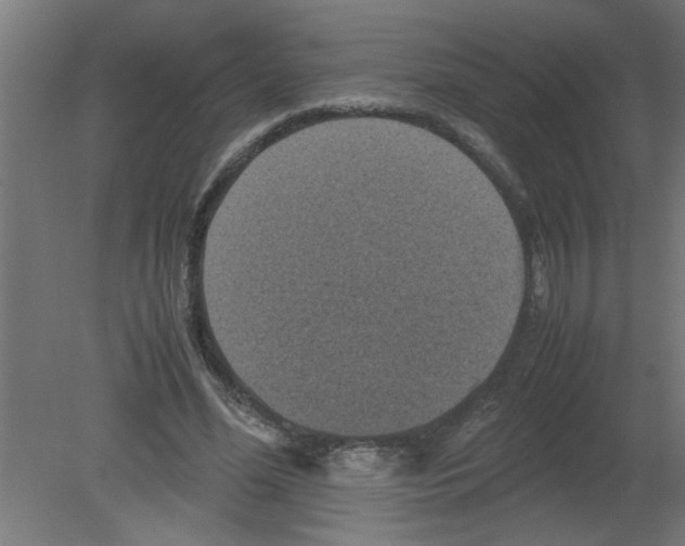 X0000080810588200701122243