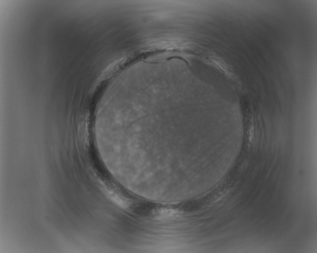 X0000080810590200701122243