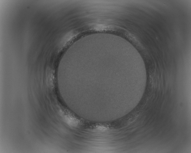 X0000080810592200701122243