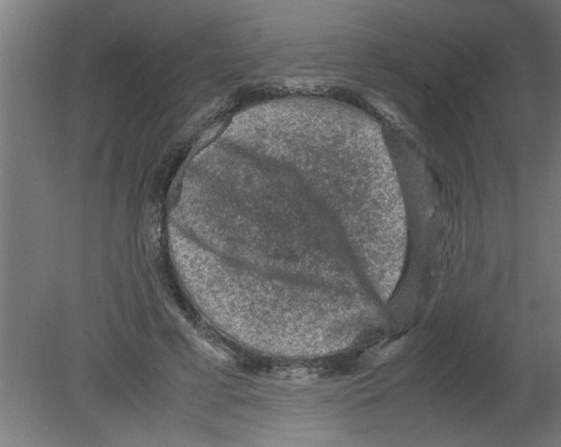 X0000080810593200701122243