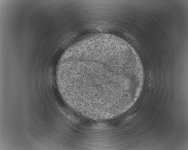 X0000080810594200701122243