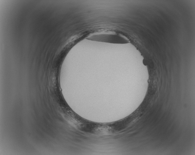 X0000080810595200701122243