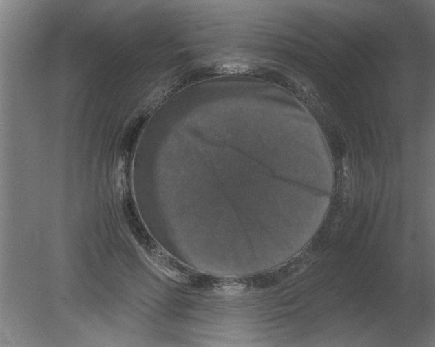 X0000080810598200701122243